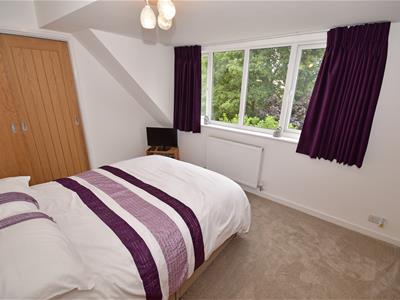 Picture 24